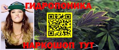 дурь Малгобек